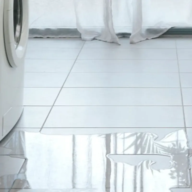 Appliance Leak Cleanup in Fremont, CA